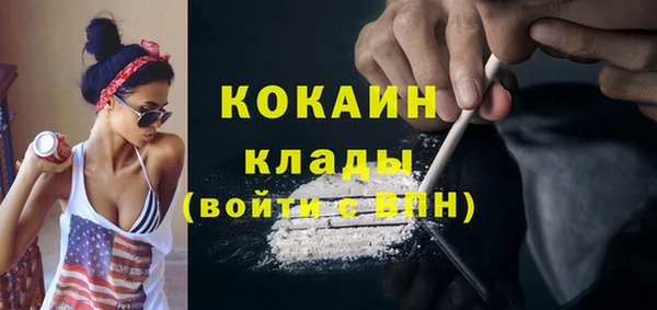индика Остров