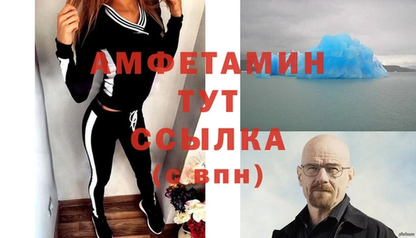 прущие грибы Пестово
