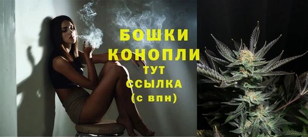 прущие грибы Пестово