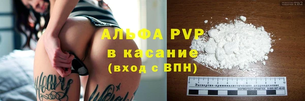 прущие грибы Пестово