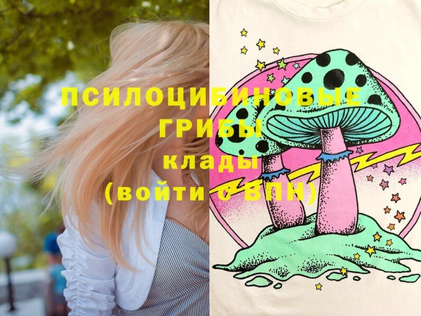 прущие грибы Пестово