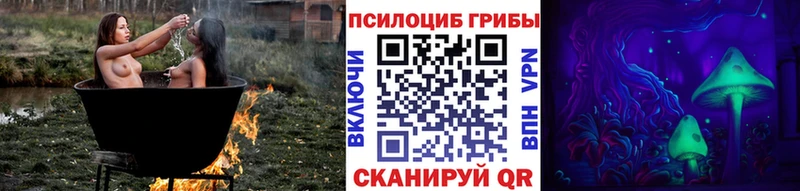 Галлюциногенные грибы мицелий  наркота  Тетюши 